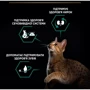 Сухой корм для стерилизованных кошек и котов Pro Plan Sterilised Cat Turkey со вкусом индейки 10 кг (7613033566547): Возраст Молодые