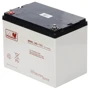 MWPower AGM 12V-80Ah (MWL 80-12h): Тип Аккумулятор