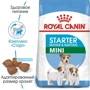 Сухой корм для собак в период беременности Royal Canin Mini Starter и щенков мелких пород 3 кг (2990030): Тип Сухой корм