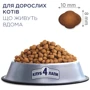 Сухой корм Club 4 Paws Premium Adult cats для взрослых кошек, живущих в помещении 4в1 0.9 кг (4820083909412): Возраст Взрослые