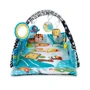 Розвиваючий килимок Lionelo ANIKA PLUS MULTICOLOR: Виробник Lionelo