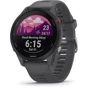 Смарт-годинник Garmin Forerunner 255 Slate Gray (010-02641-10)