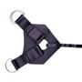 Трусики харнесс Chisa Luxe Harness