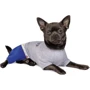 Костюм для собак Pet Fashion Орион XS серый (4823082416820): Тип Костюмы