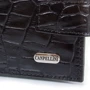 Мужское портмоне Canpellini черное (SHI1410-2KR): Тип Портмоне