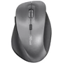 Мышь Trust Ravan (22878) Black