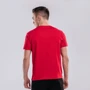 Спортивна футболка Peak FW691391-RED XS червона: Вид Спортивні футболки