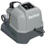 Хлоргенератор Bestway (58755): Тип Хлоргенератор