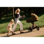 Шасі Cybex ePriam & каркас Chrome Black з електродвигуном та акумулятором фото 3