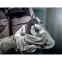 Болгарка (угловая шлифовальная) Metabo WEV 19-125 Q M-Brush (613108000): Потребляемая мощность 1900 Вт