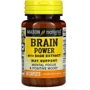 Mason Natural Brain power with sage extract Сила мозга с экстрактом шалфея 60 каплет