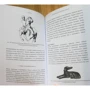 Миранда Олдхаус-Грин: Кельтские мифы. От короля Артура и Дейрдре до фейри и друидов: Жанр Мифы. Фольклор