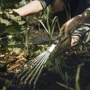 Ручні граблі Fiskars Xact (1027044): Тип граблі