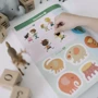 KUMON: В зоопарке. Развивающие наклейки: Жанр Развитие ребенка