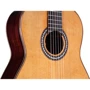 Гитара классическая CORDOBA C10 CD W/C: Форма корпуса Дредноут