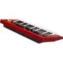 Синтезатор YAMAHA Reface YC: Тип Розважальні