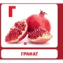 Алфавіт. 33 картки: Обкладинка Мягкая