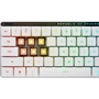 Клавиатура ASUS ROG Falchion RX Low Profile White (90MP03EC-BKUA10): Тип клавиш механический