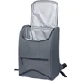 Ізотермічна сумка Time Eco TE-4021 21 л (4820211100759_2): Тип Изотермическая сумка