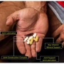 Universal Nutrition Animal Flex 44 packs / 44 servings: Пол Унисекс