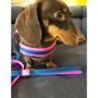 Шлейка Max & Molly Q-Fit Harness - Matrix Pink XXS (4894512017030) фото 4