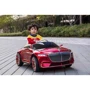 Електромобіль Kidsauto Maybach 6 Cabriolet Vision Style червоний лак: Вага, кг 12