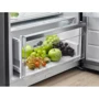 Холодильник Electrolux RRT5MF38W1: Исполнение отдельностоящий