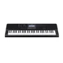 Синтезатор CASIO CT-X800C7: Тип Профессиональные