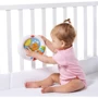 Развивающий мобиль "Peek a Boo" / Dual Motion Developmental Mobile: Тип электрический