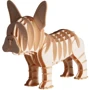 Бульдог Bulldog Fridolin 3D модель