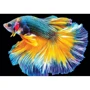 Пазли тришарові Interdruk Барвиста природа Рибка 250 шт, 33х48 см (342041)