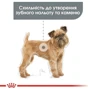 Сухой корм Royal Canin Mini Dental Care Adult для собак малых пород с повышенной чувствительностью зубов 3 кг (12210309): Вес упаковки 3 кг