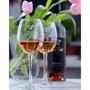 Вино Chizay Rosé Pinot Noir рожеве сухе 0.75 (CHZ4820001633481) фото 5