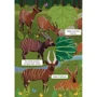 Книга-картонка. Первый виммельбух с окошками. В джунглях: Количество страниц 14