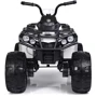 Детский электромобиль Квадроцикл Bambi M 3999EBLR-1 до 35 кг: Вид квадроцикл