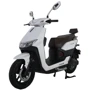 Электроскутер TAILG Tiger White Gloss: Допустимая нагрузка, кг 180