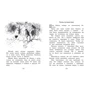 Виталий Бианки: Лесные сказки и рассказы (иллюстр. Е. Рачёва): Автор Виталий Бианки