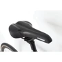 Велосипед Trinx Tempo 1.0 700C 50 см Grey-Blue-White (Tempo1.0(50)GBW): Конструкция вилки Жесткая
