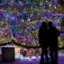 Гирлянда уличная (наружная) Springos 30 м 500 LED CL0526 Mix фото 11