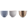 Чаша KitchenAid Blossom 5KSM5SSBCB 4.7 л