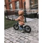 Беговел Trybike (серый): Возраст от 2 лет