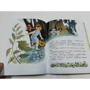 Велика книга казкових історій про дівчаток: ISBN 978-5-17-109151-4
