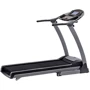 Беговая дорожка Беговая дорожка York Fitness T700PLUS (00014961511581): Диапазон скоростей, км/ч 1-16