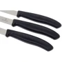 Набор кухонных ножей Victorinox SwissClassic Paring Set 3 пр. (6.7113.3): Количество предметов 3