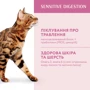 Сухой корм Optimeal Adult Cats для взрослых кошек со вкусом ягненка 10 кг (4820083909986): Основные ингредиенты Ягненок