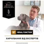 Сухой корм Pro Plan NF Renal Function с заболеванием почек 3 кг (7613035156234): Вес упаковки 3 кг