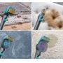 Пылесос Shark StainStriker HairPro Pet Stain & Spot Cleaner PX250EUT