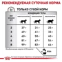 Сухий корм для котів Royal Canin Hepatic при захворюваннях печінки 2 кг (401202091): Тип Сухий корм