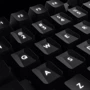 Клавиатура Logitech G413 Silver (920-008476): Тип клавиатуры игровая