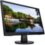 Монитор HP V22v (450M5AA): Покрытие экрана антибликовое
